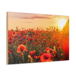 Fields for Remembrance