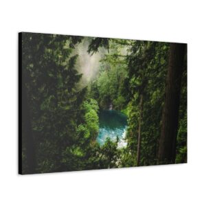 Jungle Falls