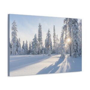 Lonesome Snowfield