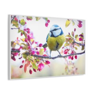 Blue Tit and Blossom
