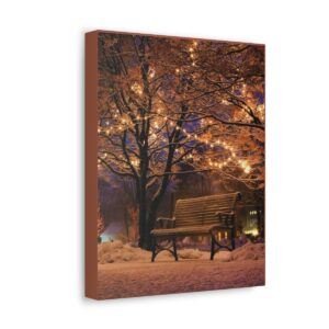 Quiet Snowy Night