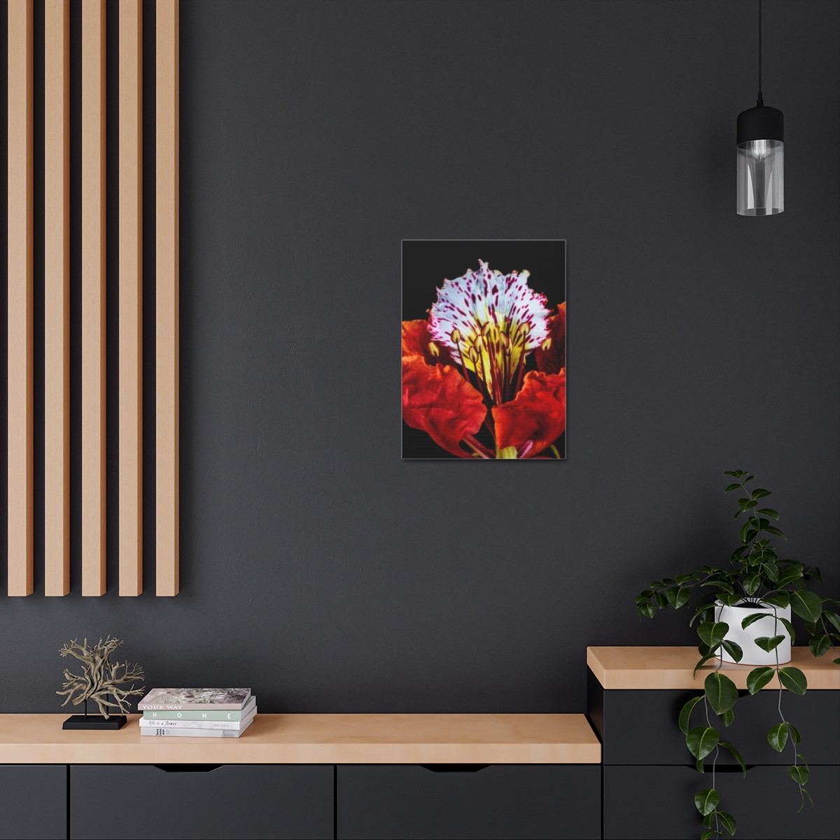 'Colour Burst' Satin Canvas, Stretched - Image 24