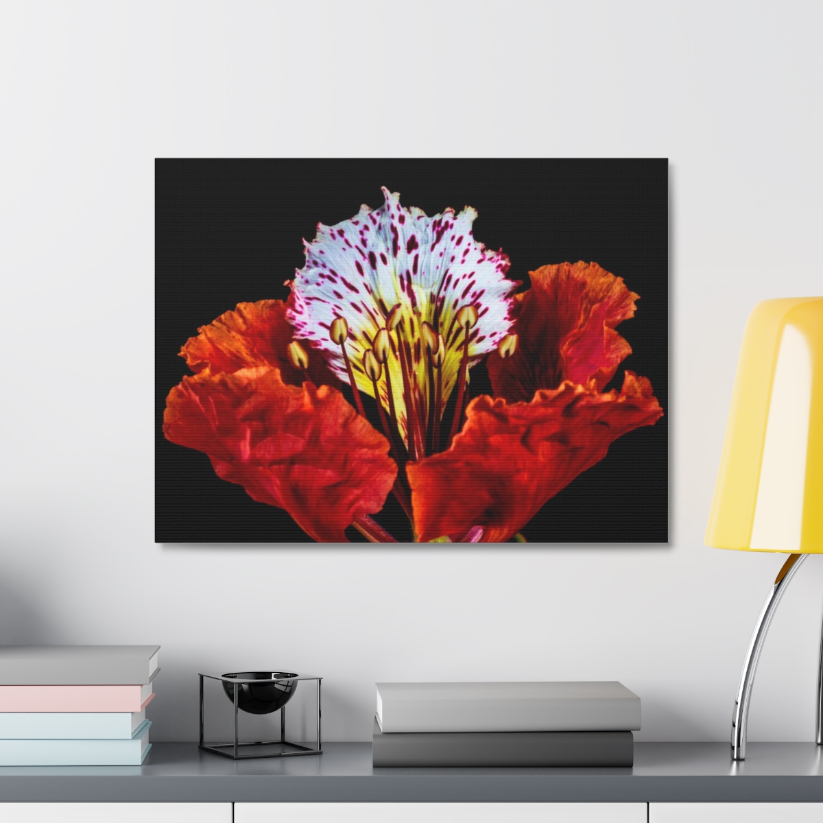 'Colour Burst' Satin Canvas, Stretched - Image 43
