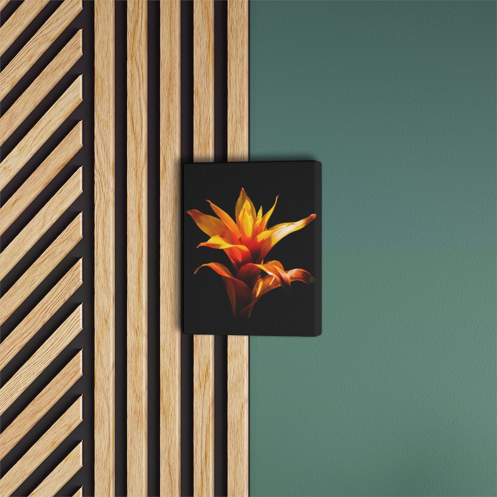 Satin Canvas, Stretched - Image 2