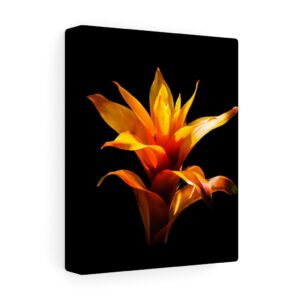 Satin Canvas, Stretched