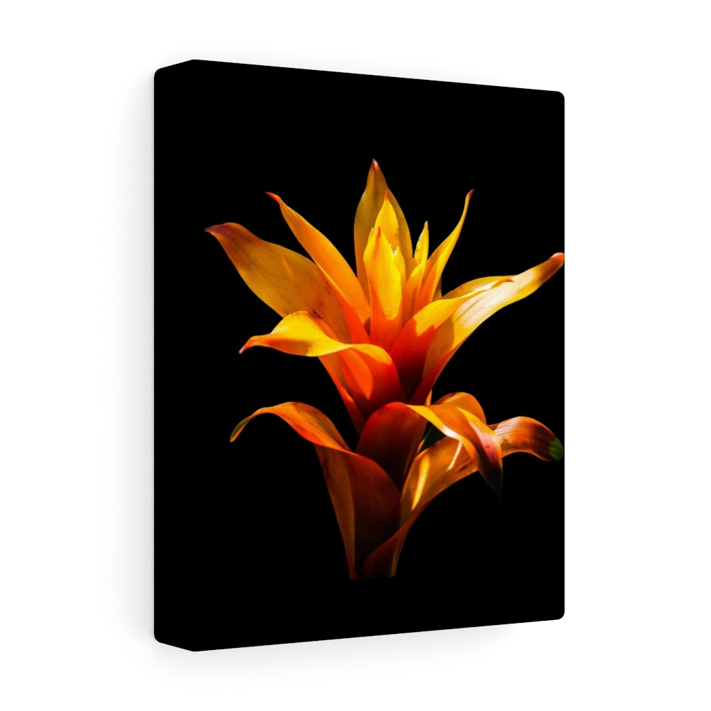 Satin Canvas, Stretched