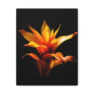 Satin Canvas, Stretched