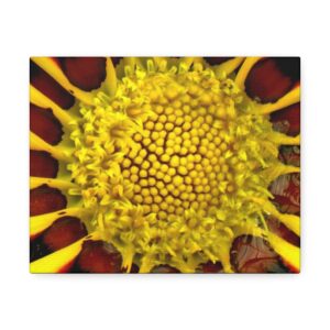 Summer Sunflower - Satin Canvas, Stretched