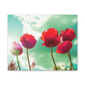 Poppie Fields Satin Canvas, Stretched