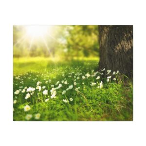 Tree Filled Meadows - Satin Canvas, Stretched