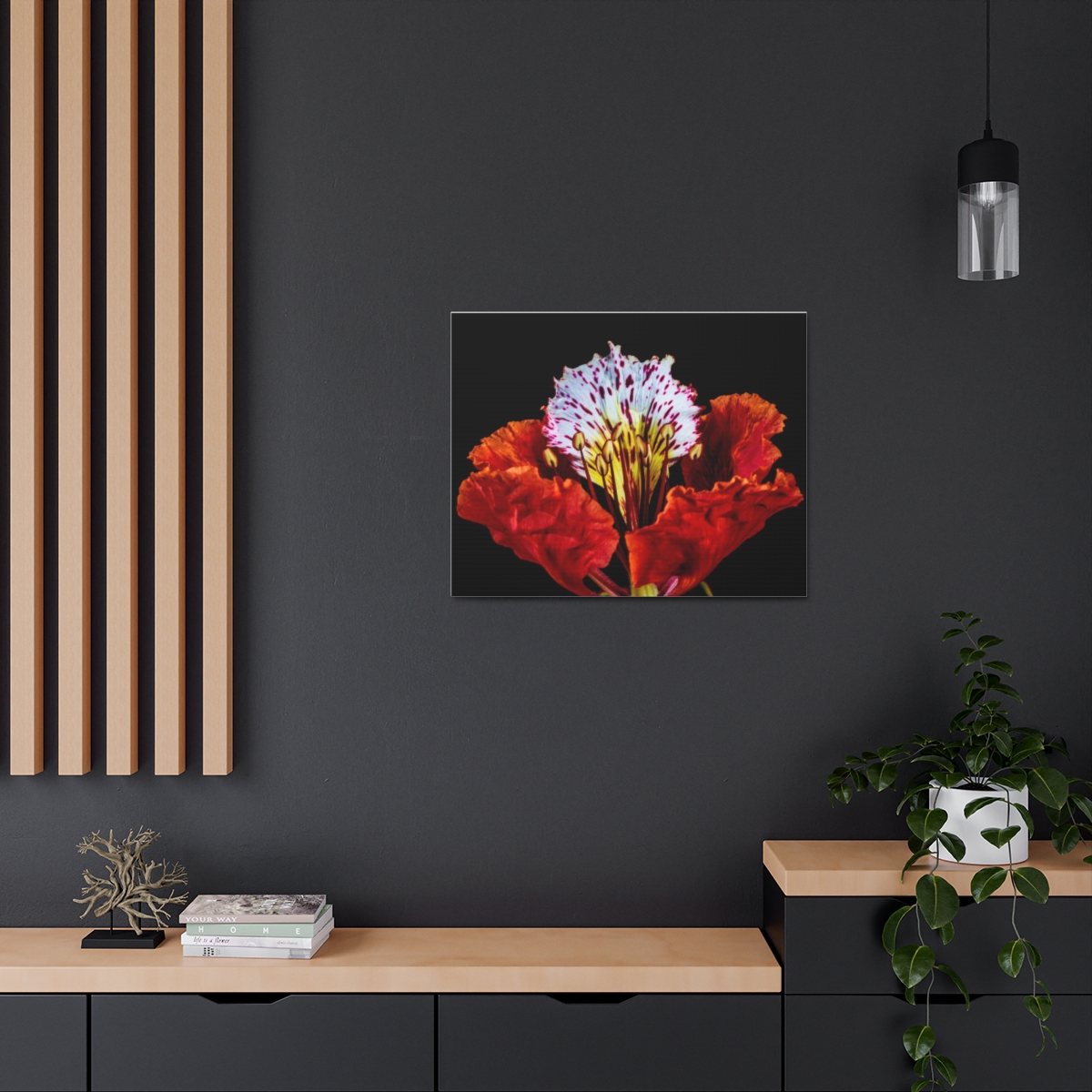 'Colour Burst' Satin Canvas, Stretched - Image 48