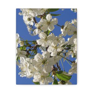 Satin Canvas, Spring Blossom Print