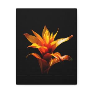 Satin Canvas, Stretched