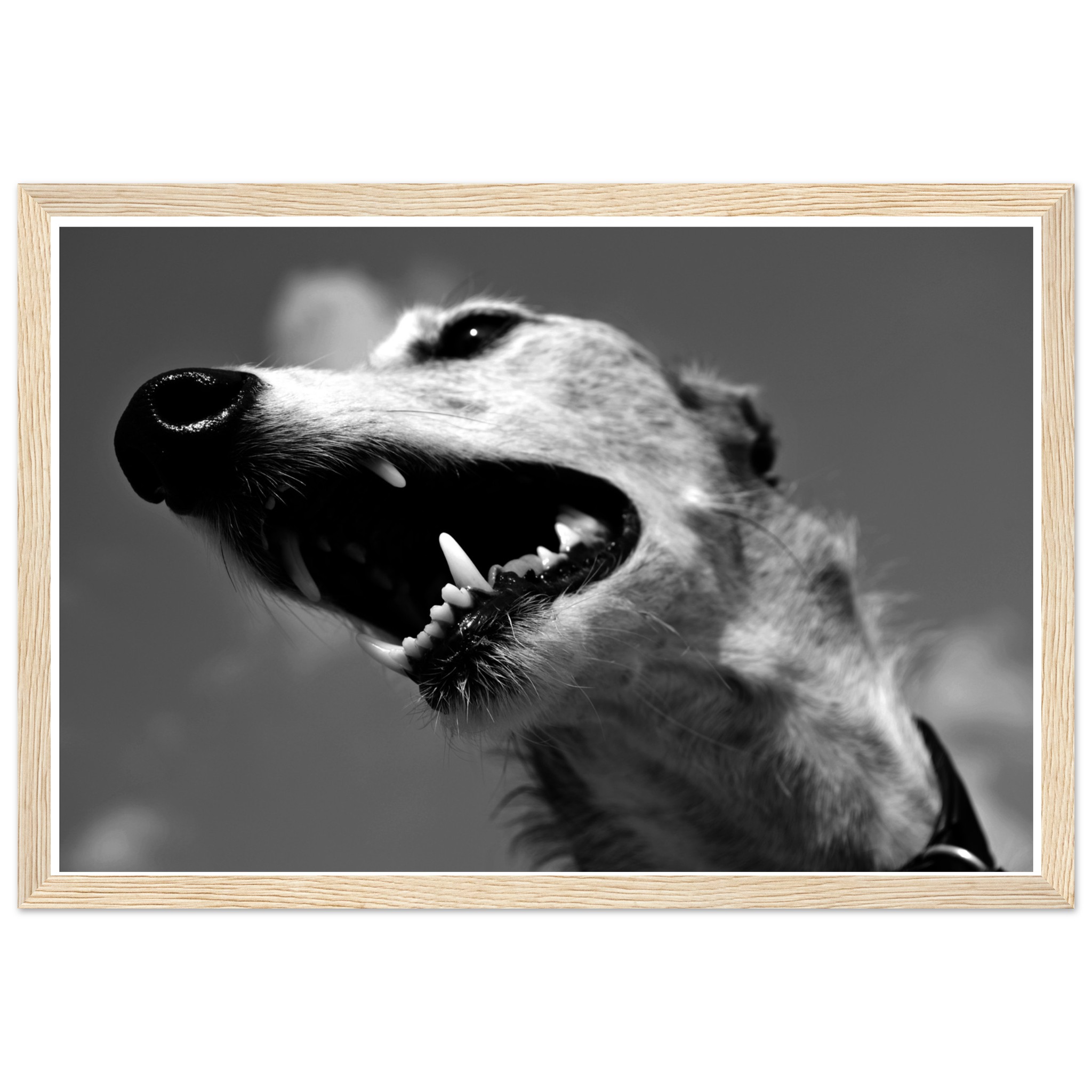 45ab4802-7454-410d-ac29-72bd33d092da