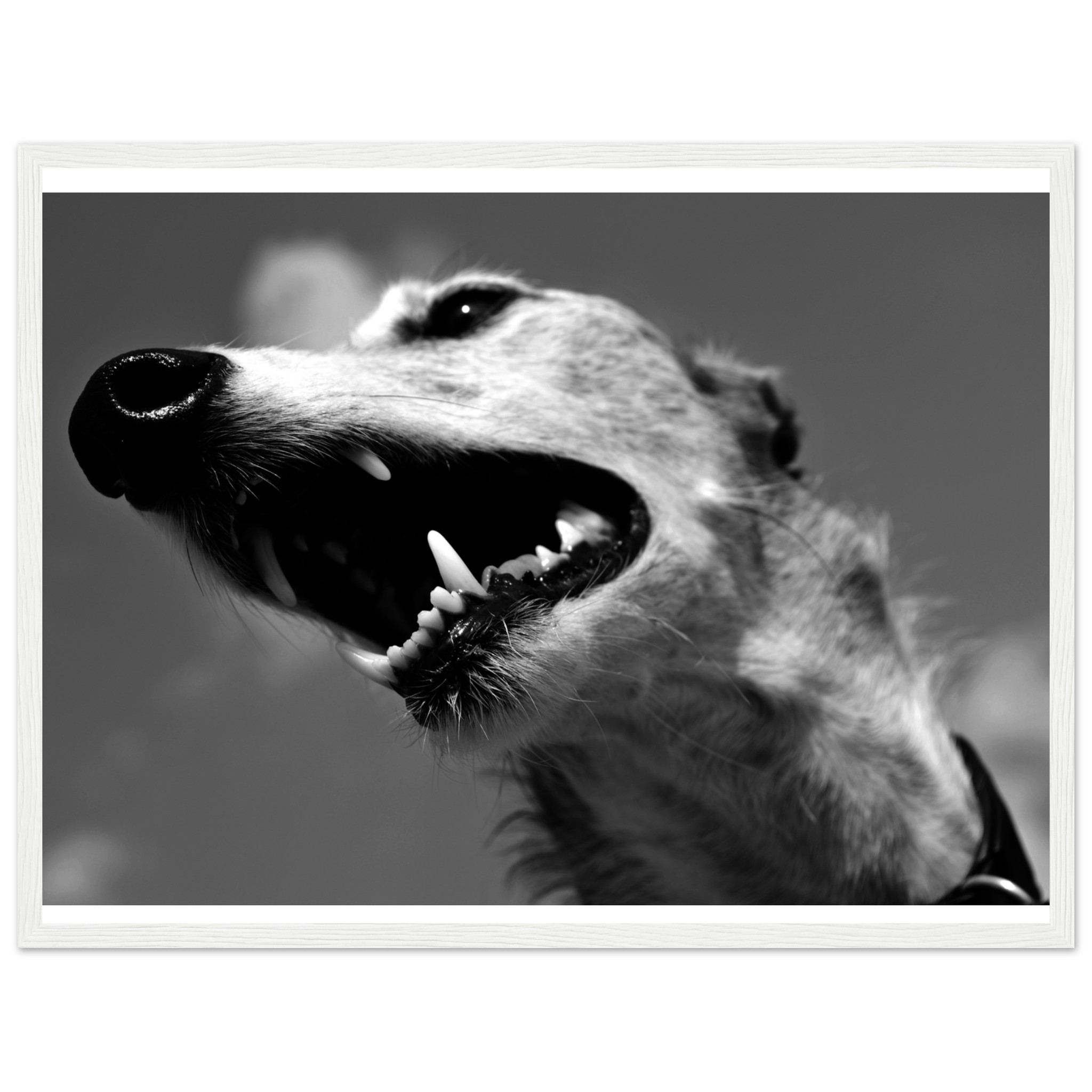 4f7e8425-abdf-4094-a021-a03d5fbdf7b3