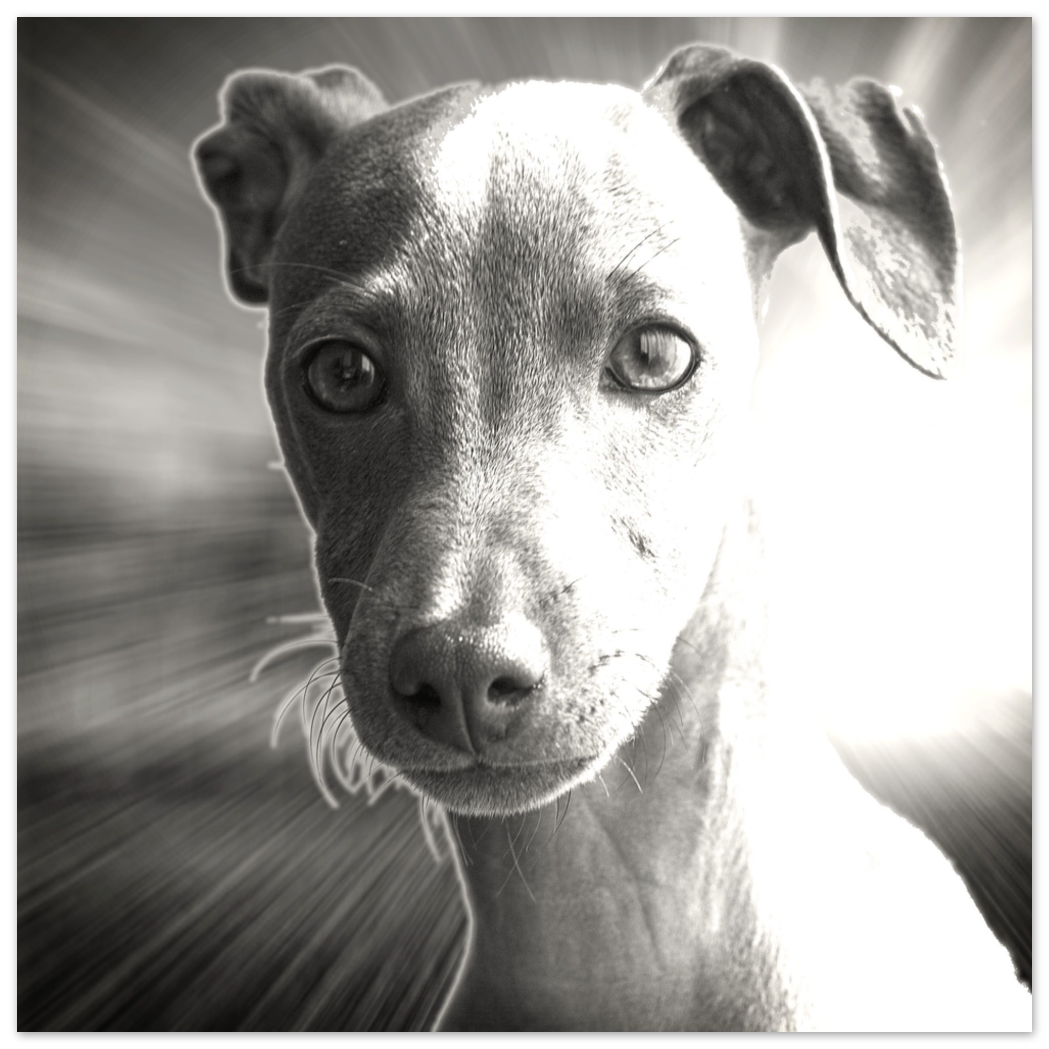 abd1a6d8-e10a-4ef4-94a4-b9c53da09e61