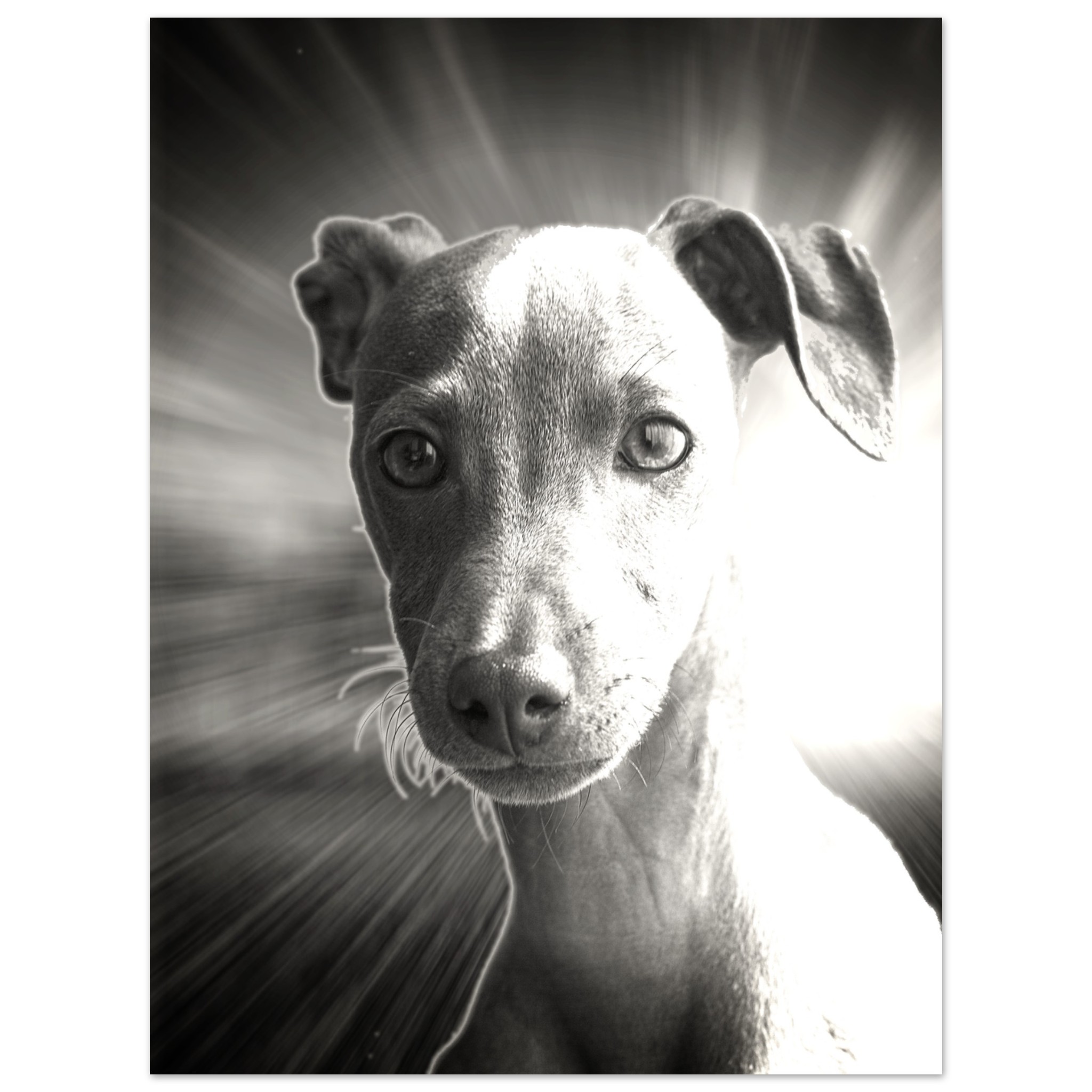 beb9b417-d738-4ba7-86a4-a4fbe7b811a5