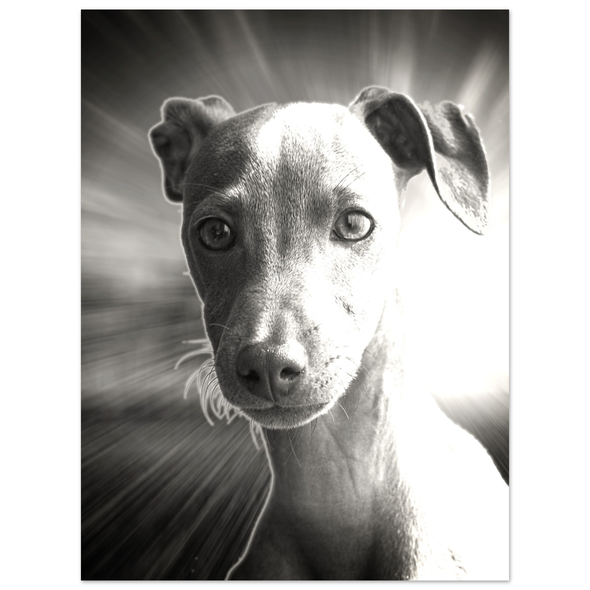 bebd04c6-7c47-4534-8c56-1bbfbfb2e9c9