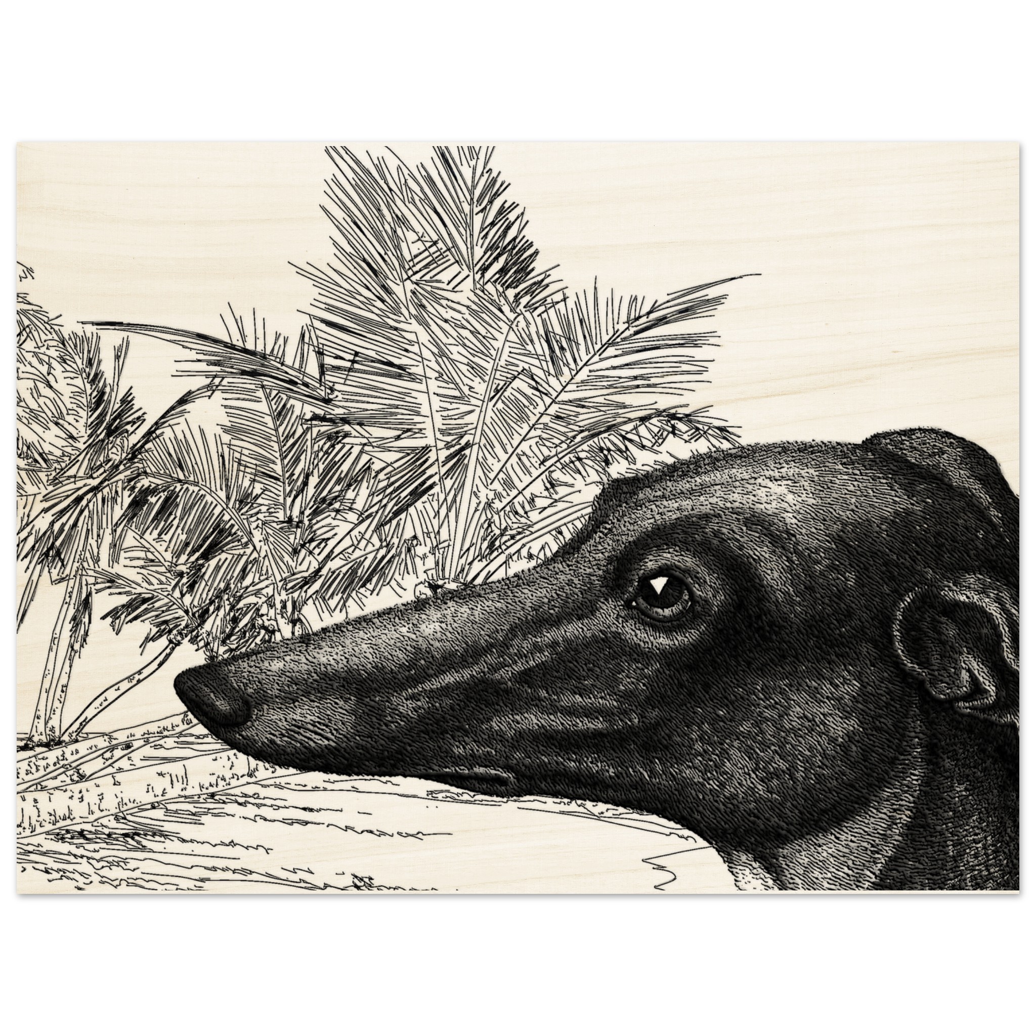 e6c7114f-e38a-4c90-a0dd-802e38aeecae