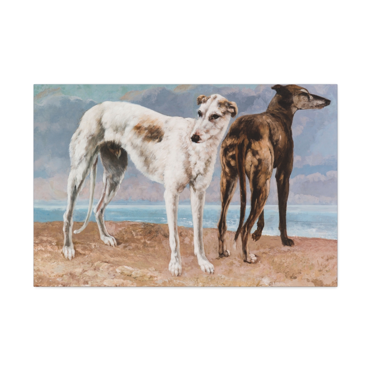 Two Greyhound Dogs at the Beach