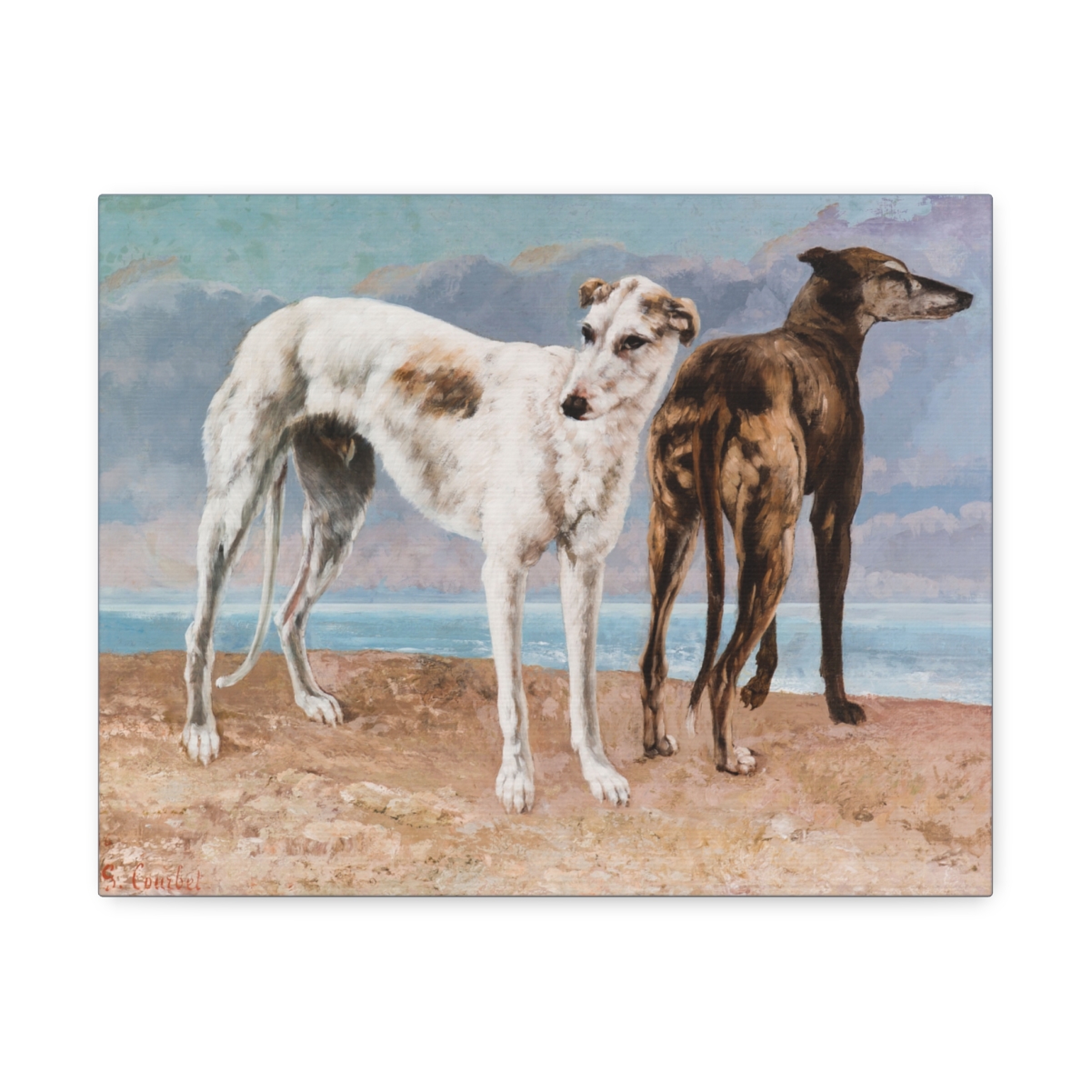 Two Greyhound Dogs at the Beach - Image 9