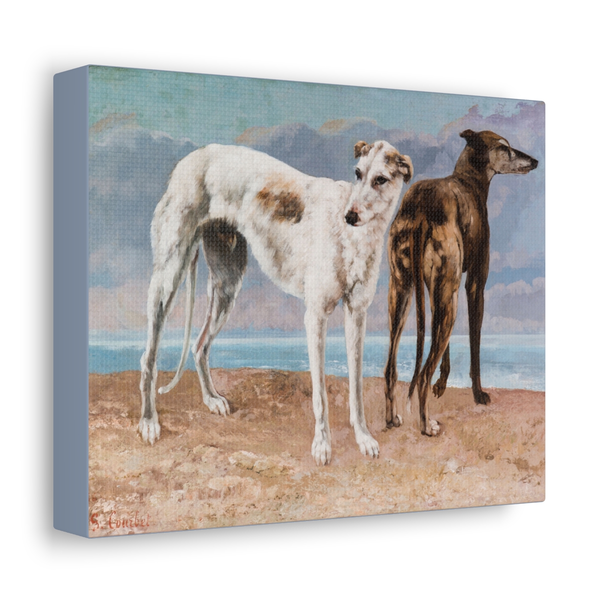 Two Greyhound Dogs at the Beach - Image 6