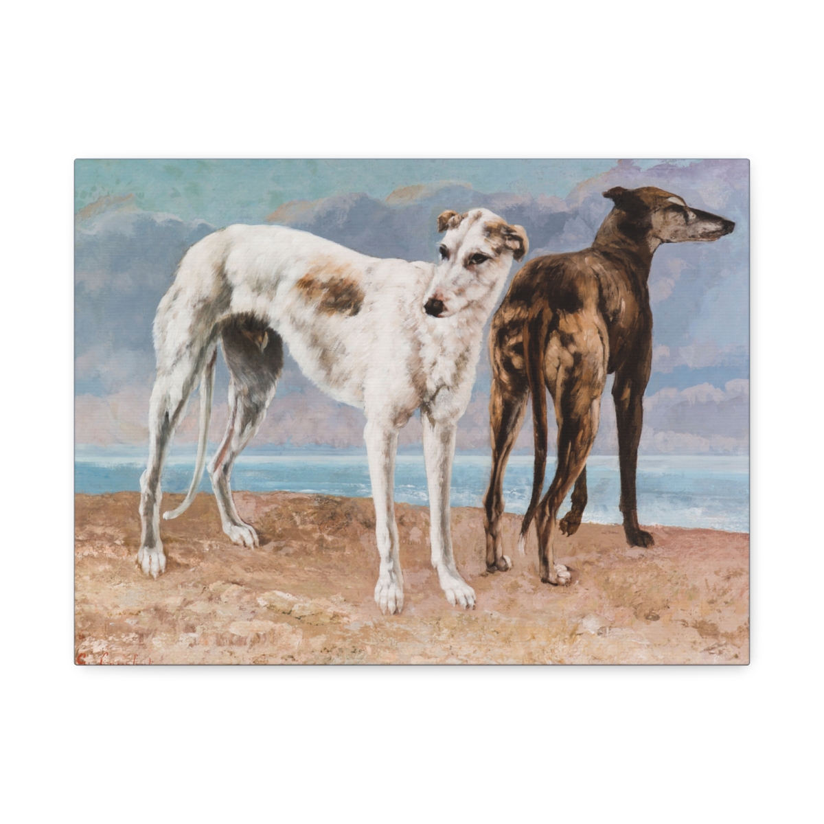 Two Greyhound Dogs at the Beach - Image 13