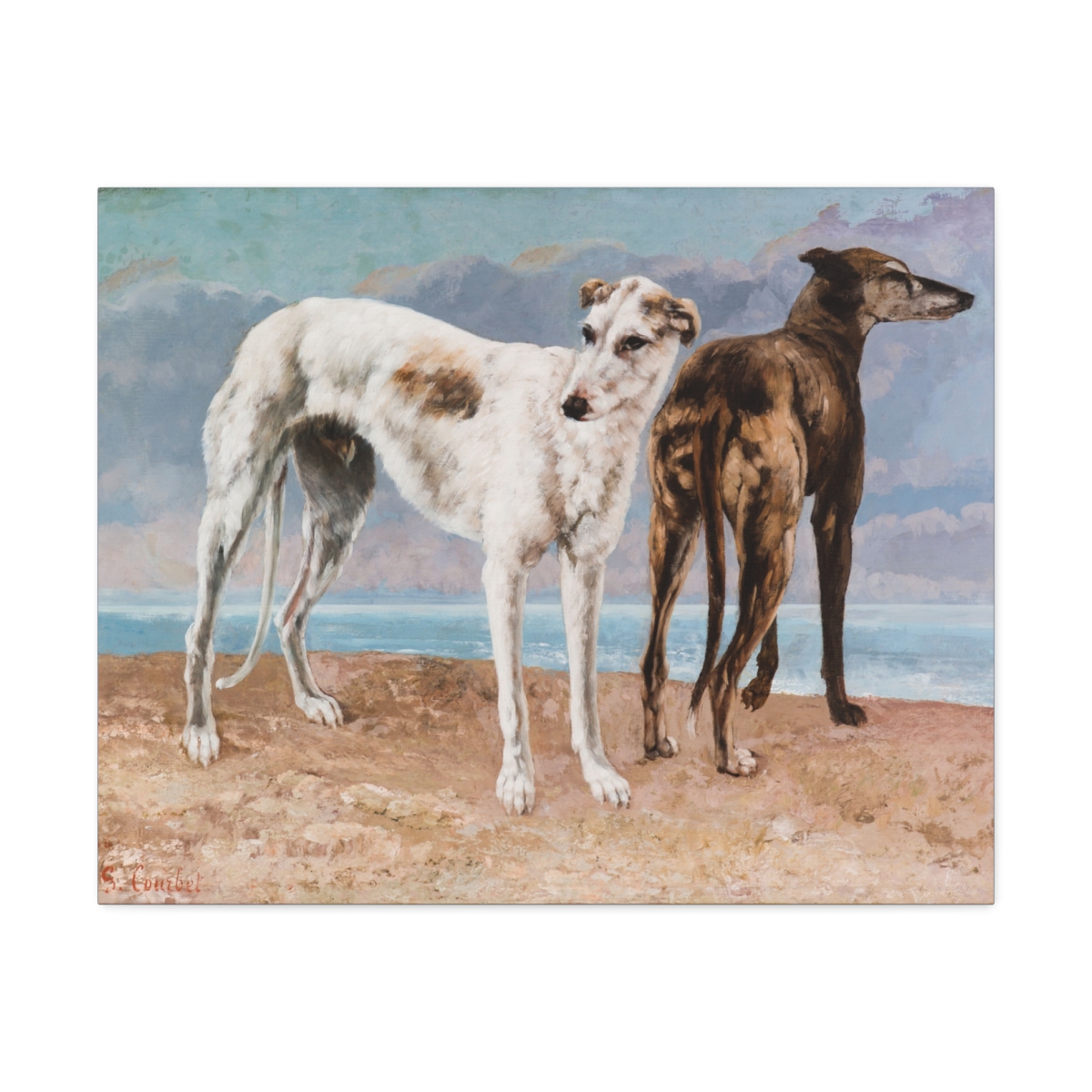 Two Greyhound Dogs at the Beach - Image 21