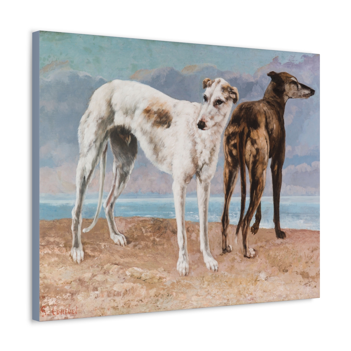 Two Greyhound Dogs at the Beach - Image 22