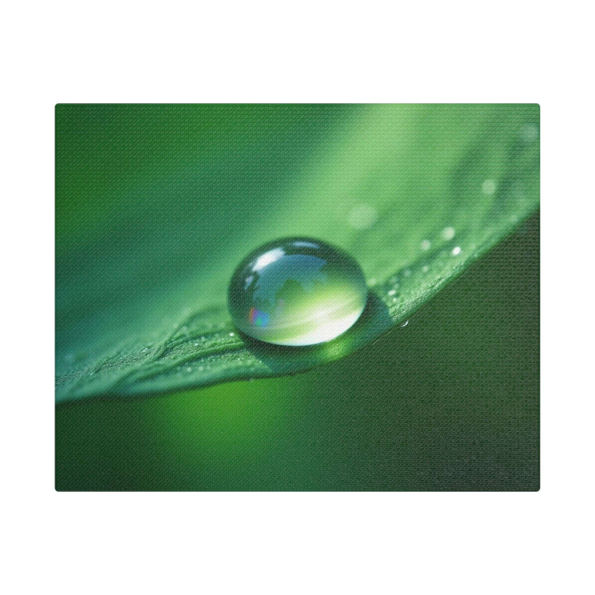 🌤 Forest Light Collection – Morning Dew - Image 5