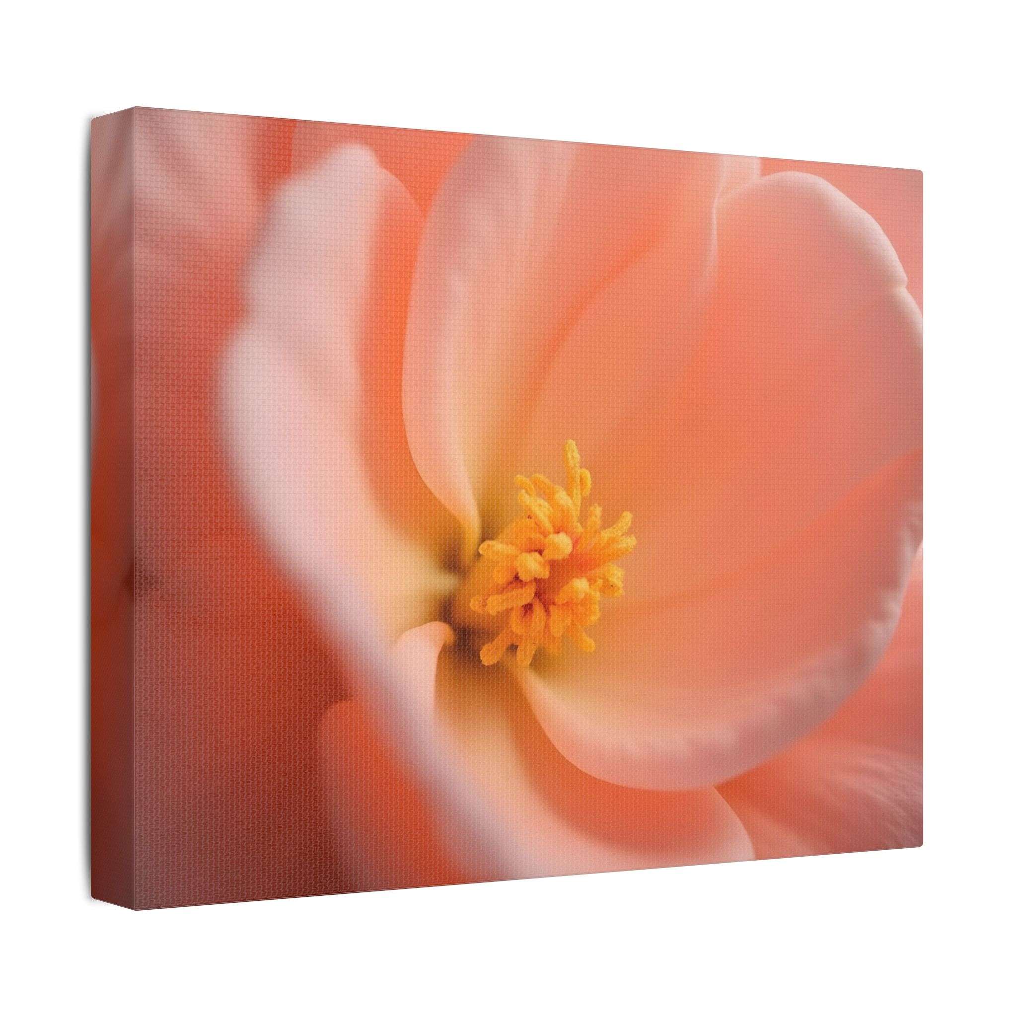 🌸 Forest Light Collection – Secret Glade - Image 10