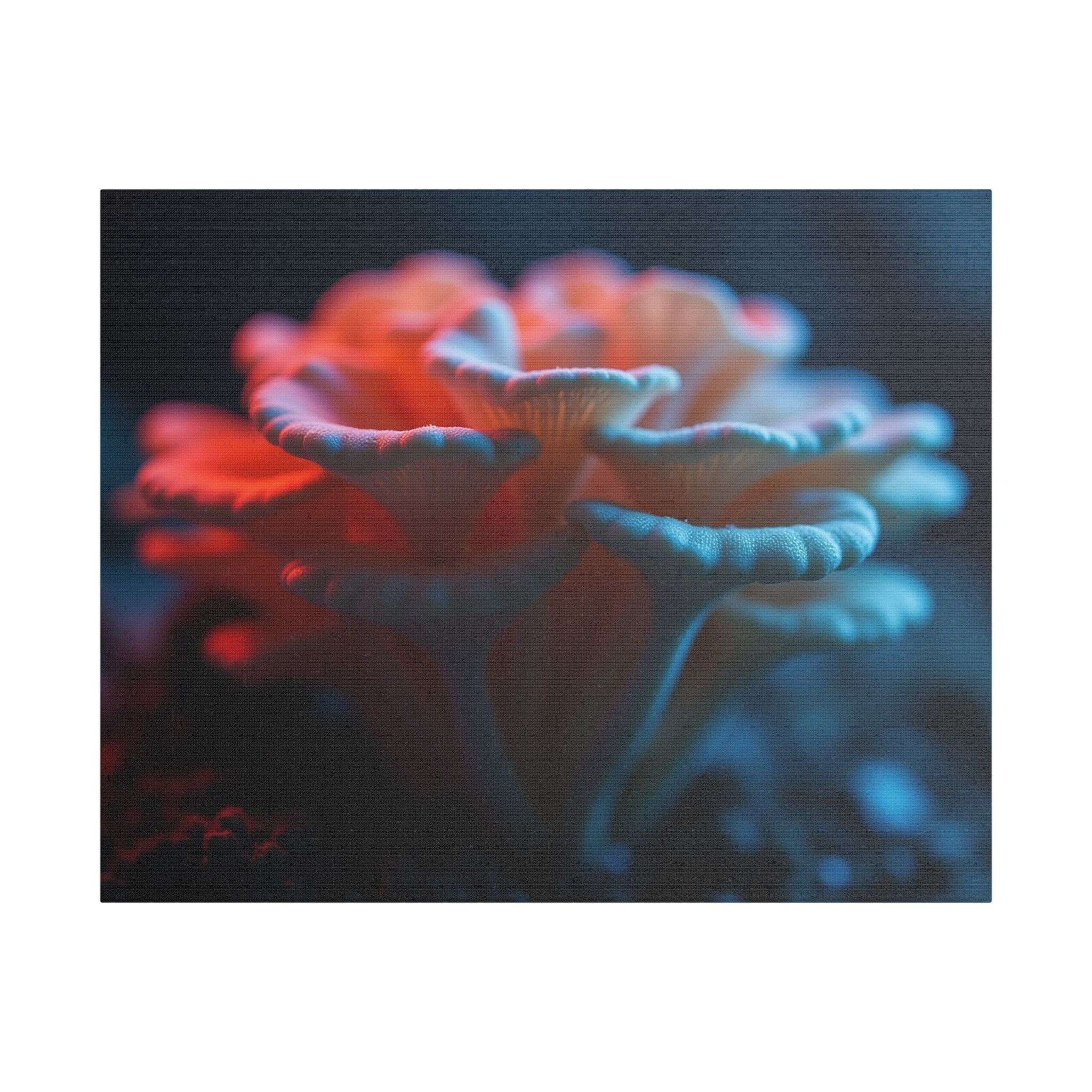 🌙 Forest Light Collection – Night Shades - Image 17