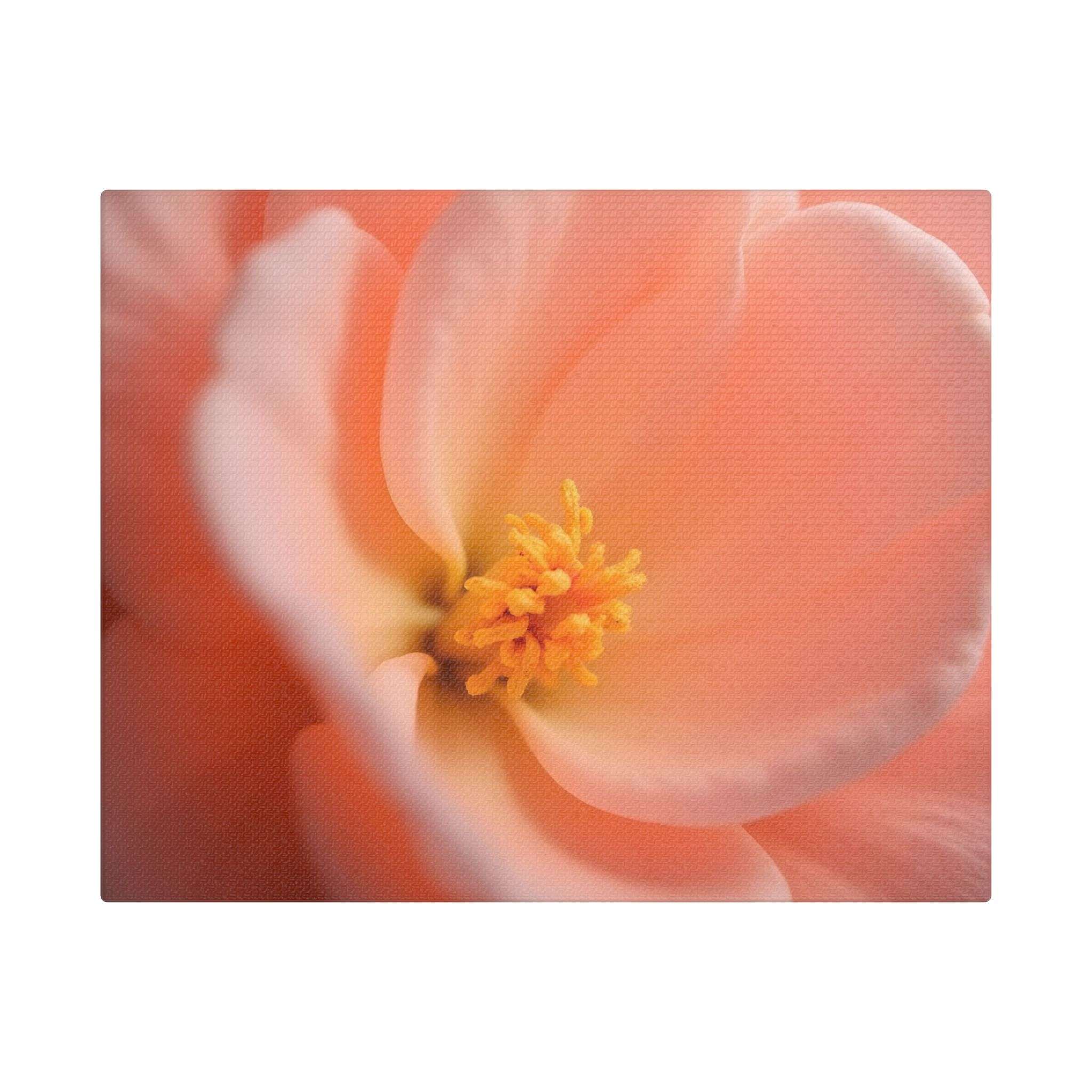 🌸 Forest Light Collection – Secret Glade - Image 5