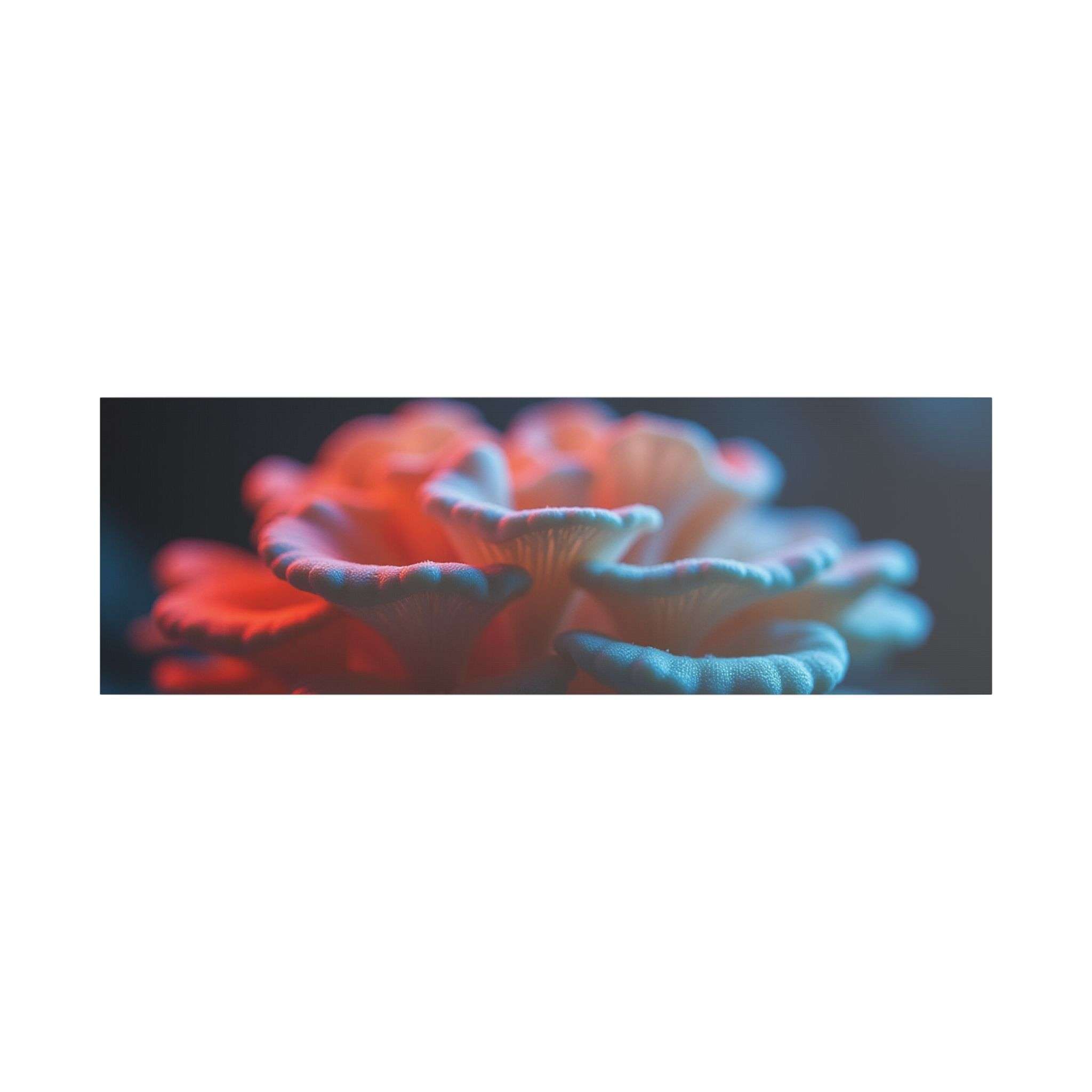 🌙 Forest Light Collection – Night Shades - Image 25