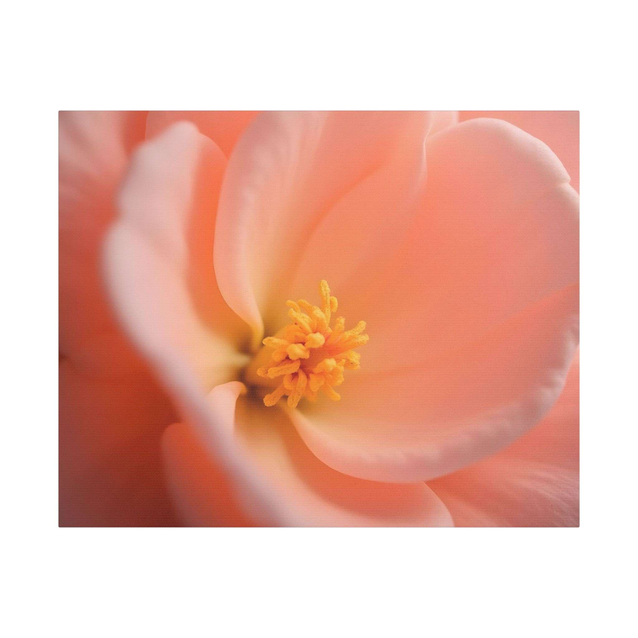 🌸 Forest Light Collection – Secret Glade - Image 17