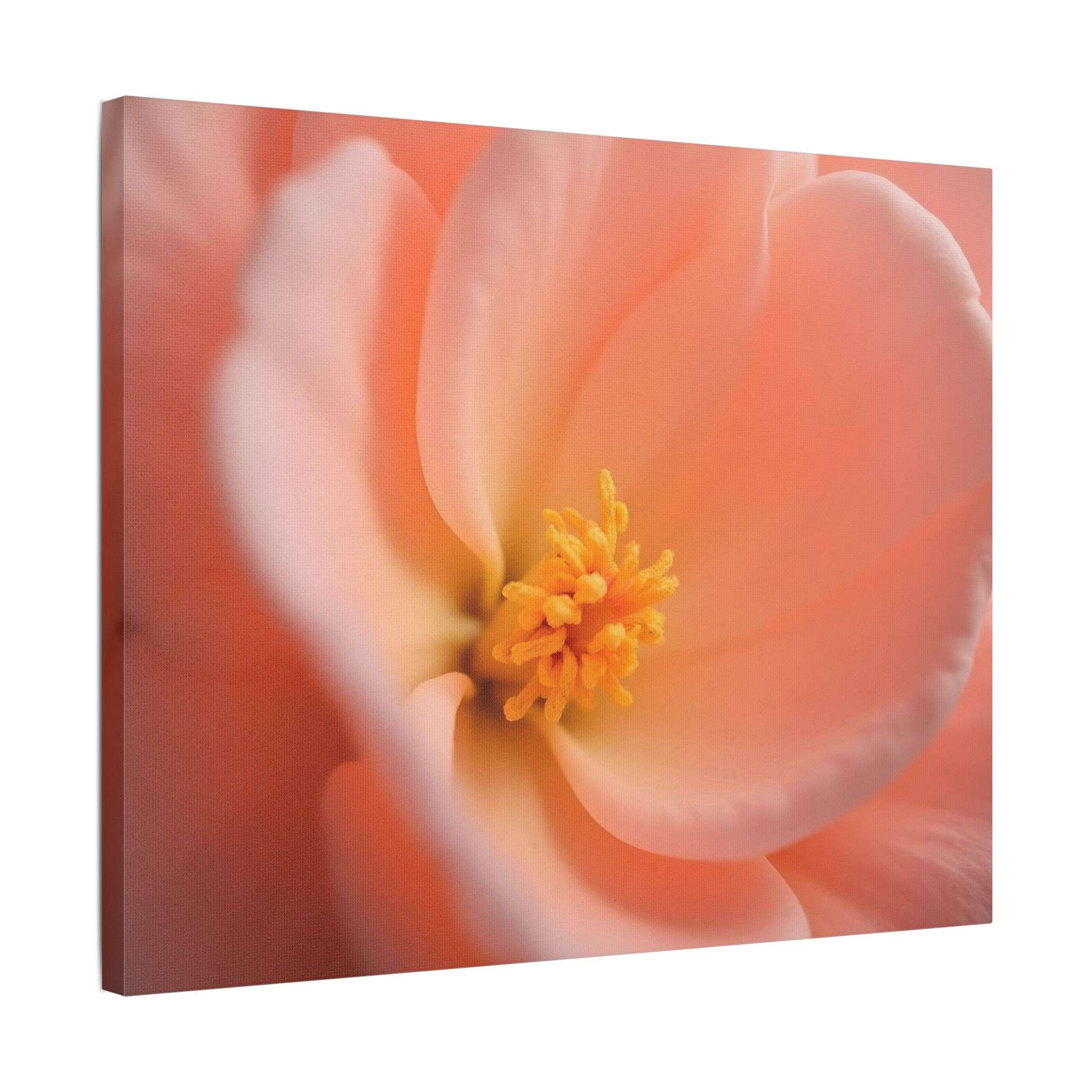 🌸 Forest Light Collection – Secret Glade - Image 18