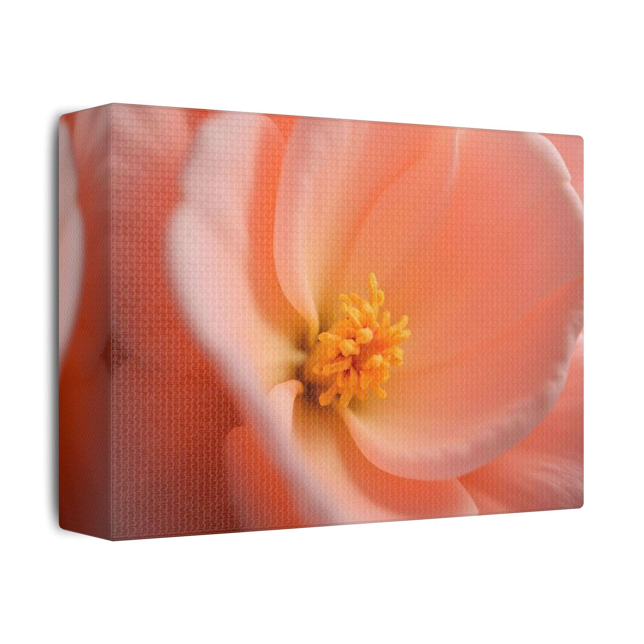 🌸 Forest Light Collection – Secret Glade - Image 2