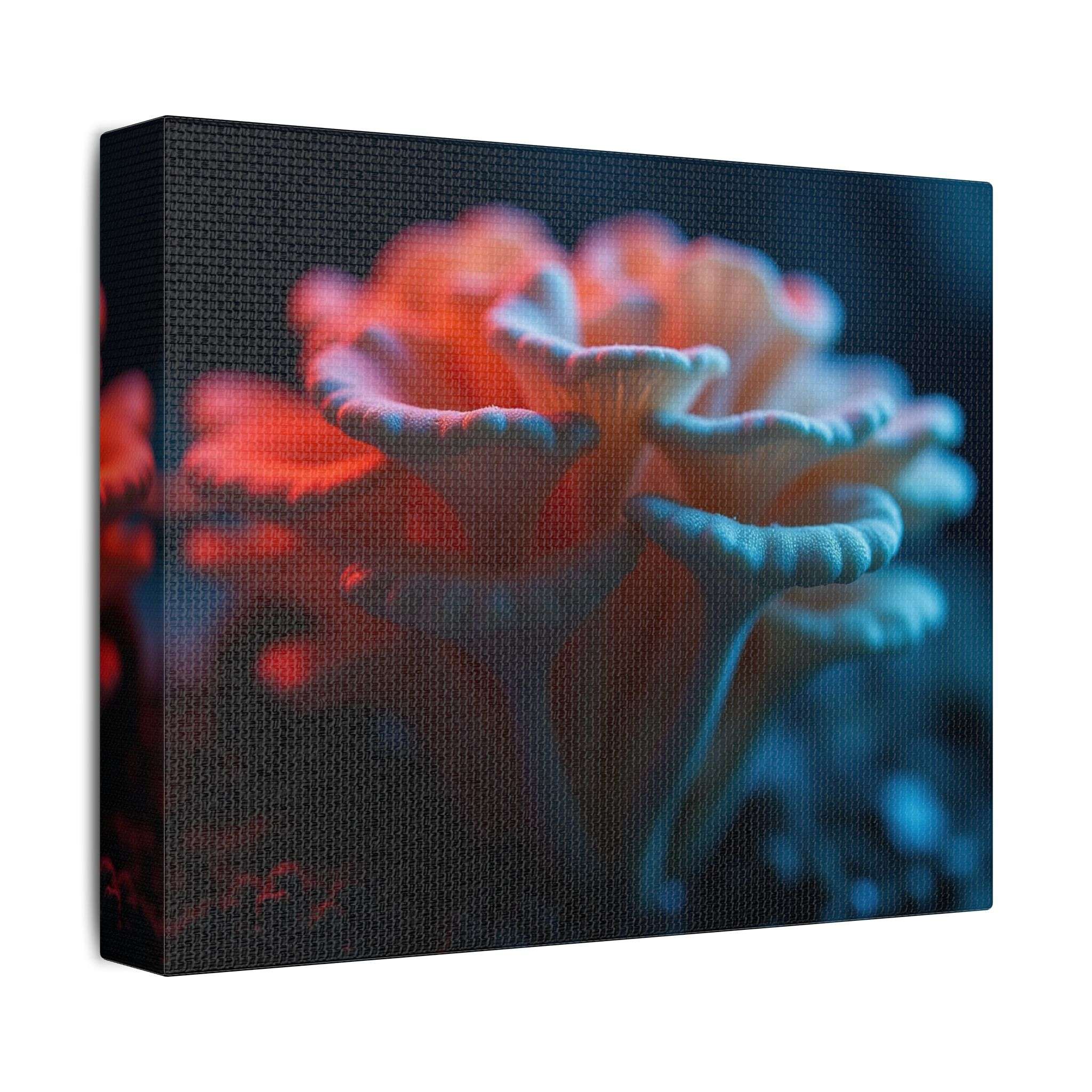 🌙 Forest Light Collection – Night Shades - Image 6