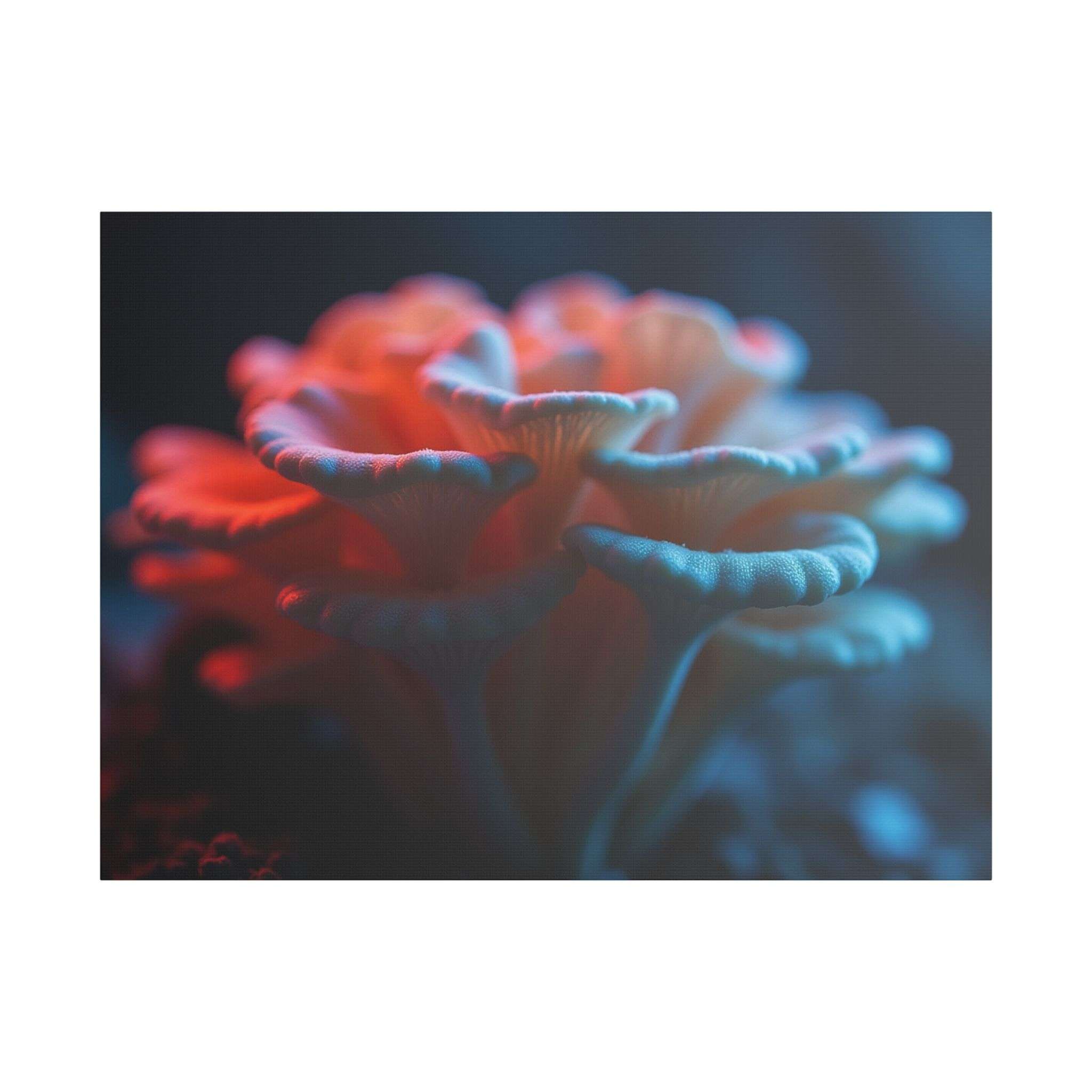 🌙 Forest Light Collection – Night Shades - Image 21