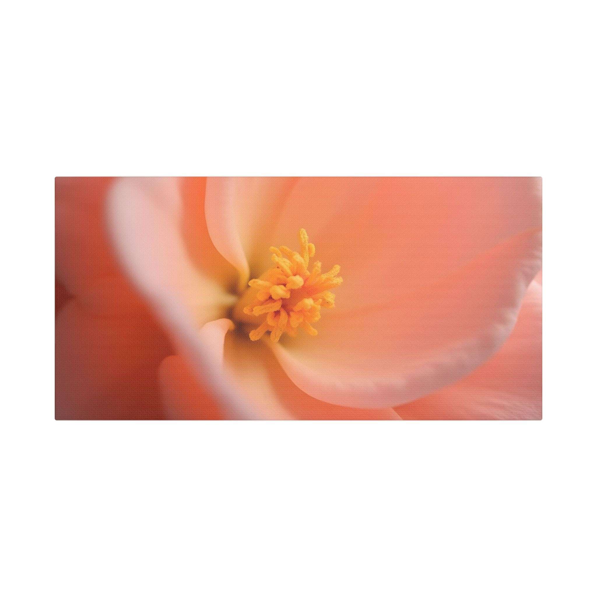 🌸 Forest Light Collection – Secret Glade - Image 13