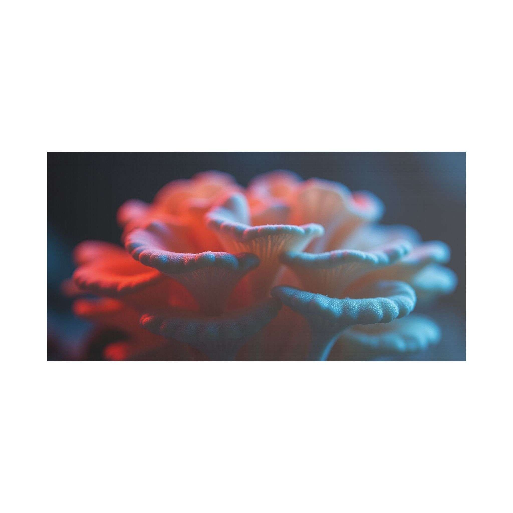 🌙 Forest Light Collection – Night Shades - Image 29