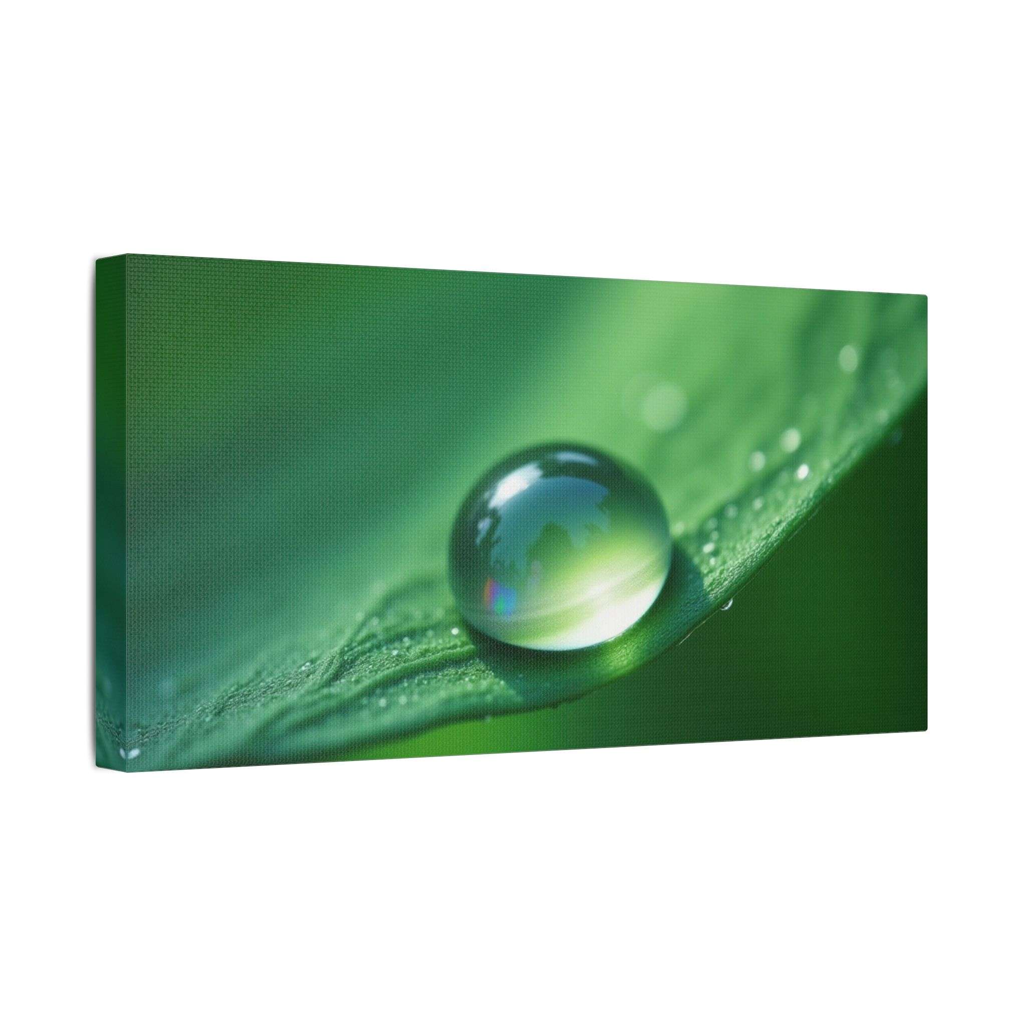 🌤 Forest Light Collection – Morning Dew - Image 14