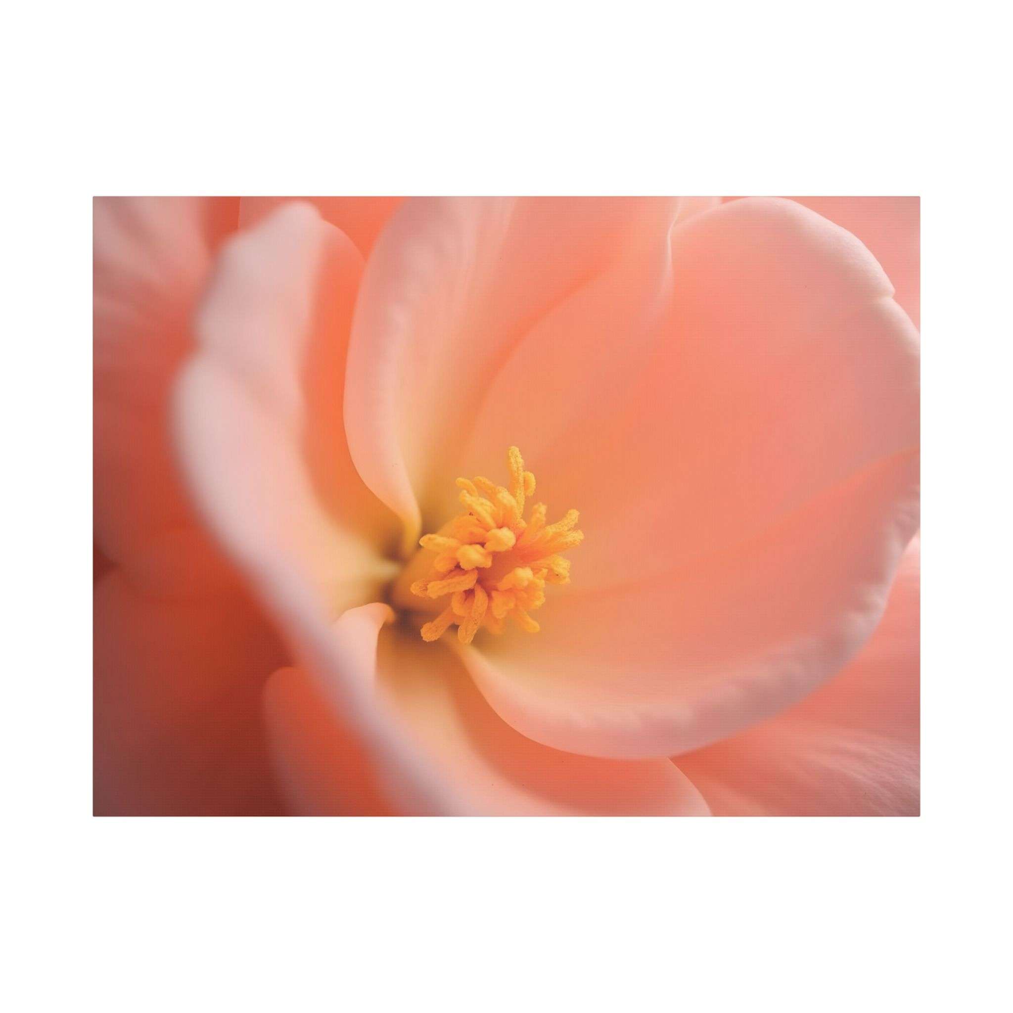 🌸 Forest Light Collection – Secret Glade - Image 21