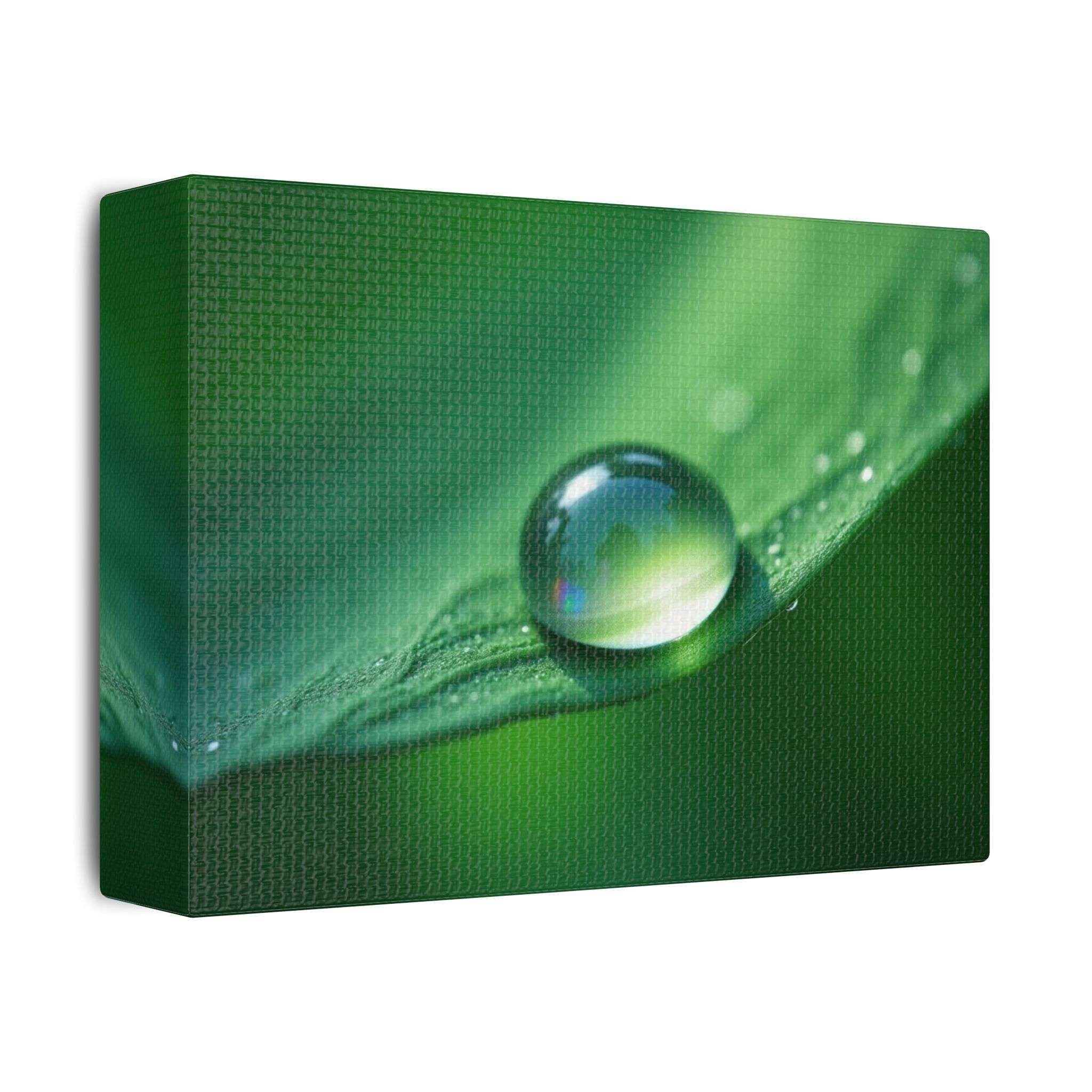 🌤 Forest Light Collection – Morning Dew - Image 2