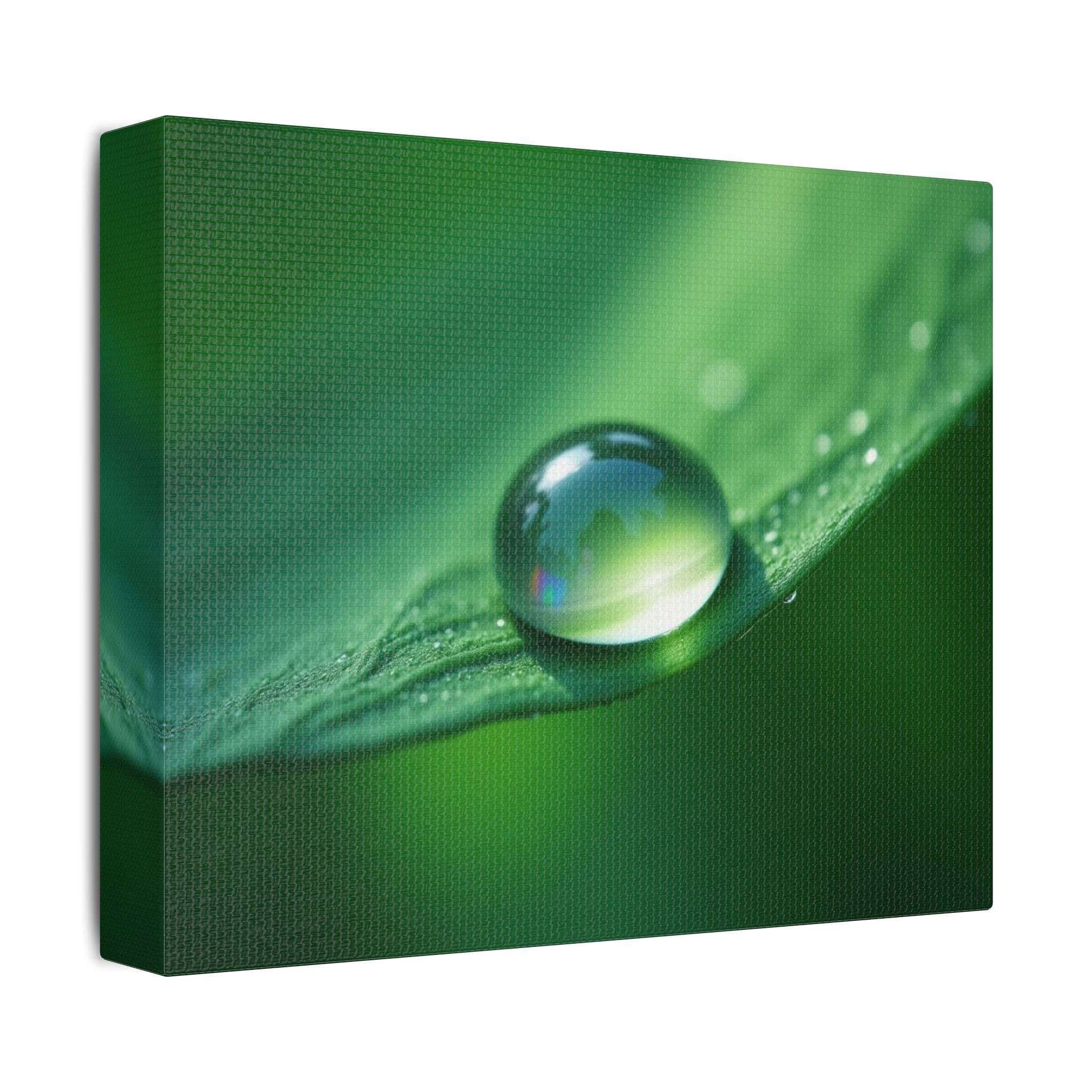 🌤 Forest Light Collection – Morning Dew - Image 6