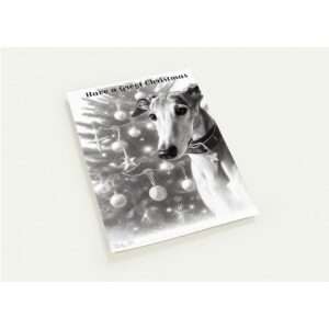 Have a Greyt Christmas - Pack of 10 Christmas Cards