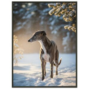 dbdb5de9-3322-4c9b-bedb-b8e4b25cf2a0